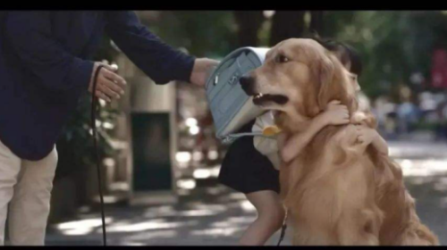 3分钟宣传片策划方案根据那些因素策划?